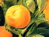 <strong>Orangen</strong><span style='color:#999999'>  (1990)</span><br>Wachskreide und Buntstift