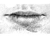 <strong>Lip Obsession</strong><span style='color:#999999'>  (1987)</span><br>Bleistift  |  2 x 1.5 cm