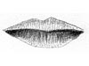 <strong>Lip Obsession</strong><span style='color:#999999'>  (1984)</span><br>Bleistift  |  4 x 1.5 cm