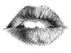 <strong>Lip Obsession</strong><span style='color:#999999'>  (1987)</span><br>Bleistift  |  2.5 x 1.5 cm
