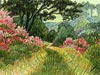 <strong>Garten von Coleton Fishacre</strong><span style='color:#999999'>  (2001)</span><br>Buntstift  |  15 x 11 cm