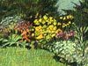 <strong>Im Garten</strong><span style='color:#999999'>  (2002)</span><br>Buntstift  |  15 x 10 cm