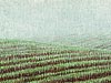 <strong>Felder im Tgermoos</strong><span style='color:#999999'>  (2006)</span><br>Buntstift  |  19 x 9 cm