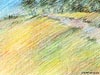 <strong>Hampstead Heath</strong><span style='color:#999999'>  (1988)</span><br>Buntstift  |  21 x 15 cm