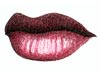 <strong>Lip Obsession</strong><span style='color:#999999'>  (2008)</span><br>Buntstift  |  4 x 2.5 cm