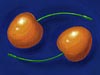 <strong>Orange Cherries</strong><span style='color:#999999'>  (1995)</span><br>Acryl auf Leinwand  |  24 x 16 cm