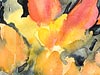 <strong>Tulpen</strong><span style='color:#999999'>  (1990)</span><br>Aquarell