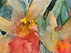 <strong>Blumenbild 33</strong><span style='color:#999999'>  (1990)</span><br>Aquarell