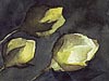 <strong>Rosen</strong><span style='color:#999999'>  (1982)</span><br>Aquarell  |  16 x 14 cm