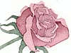 <strong>Rose</strong><span style='color:#999999'>  (1982)</span><br>Aquarell  |  9 x 7 cm