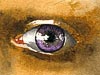 <strong>Eye Obsession</strong><span style='color:#999999'>  (1982)</span><br>Aquarell  |  6 x 5 cm